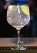 Gin Tonic